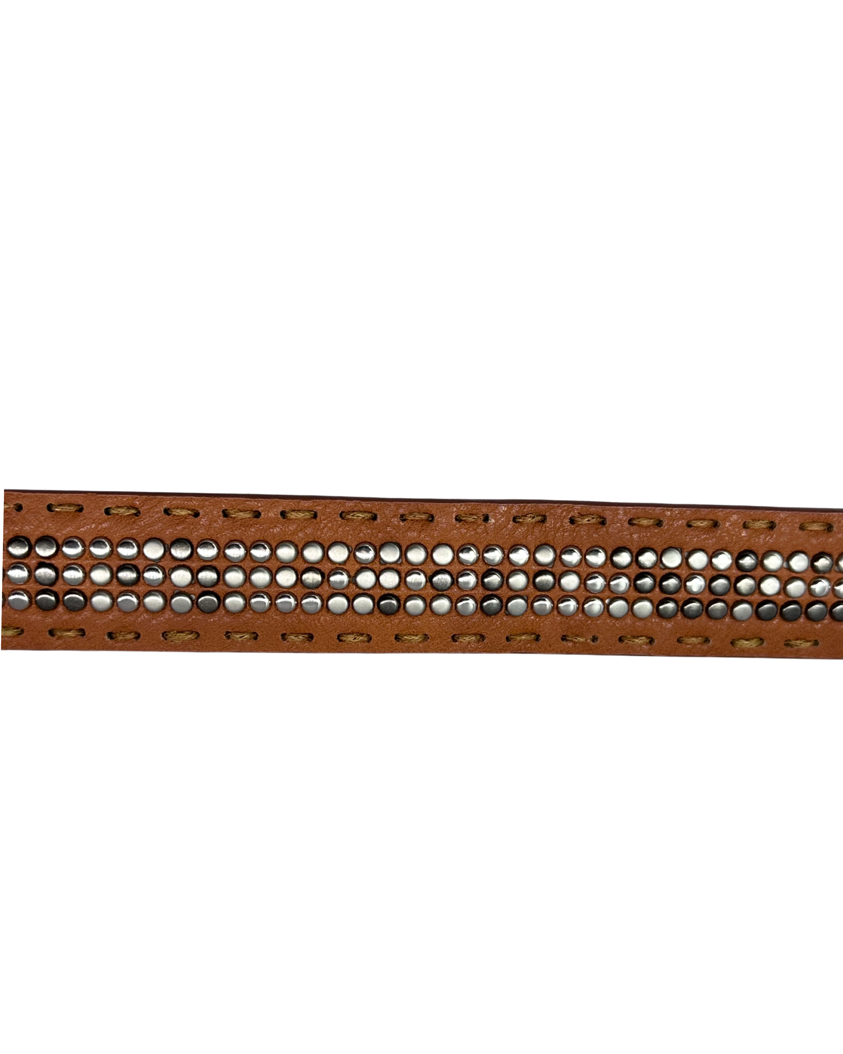 Thorn Belt